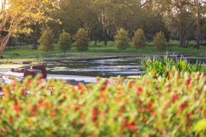 Springtime in the native Landscapes