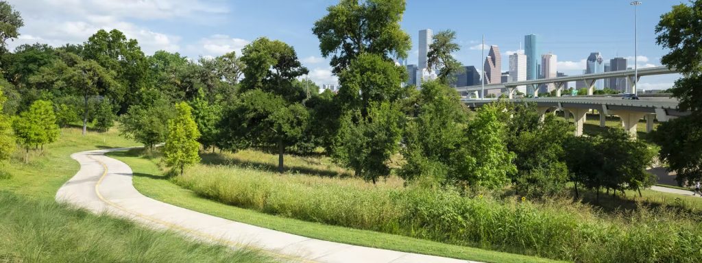 Bayou Greenways View