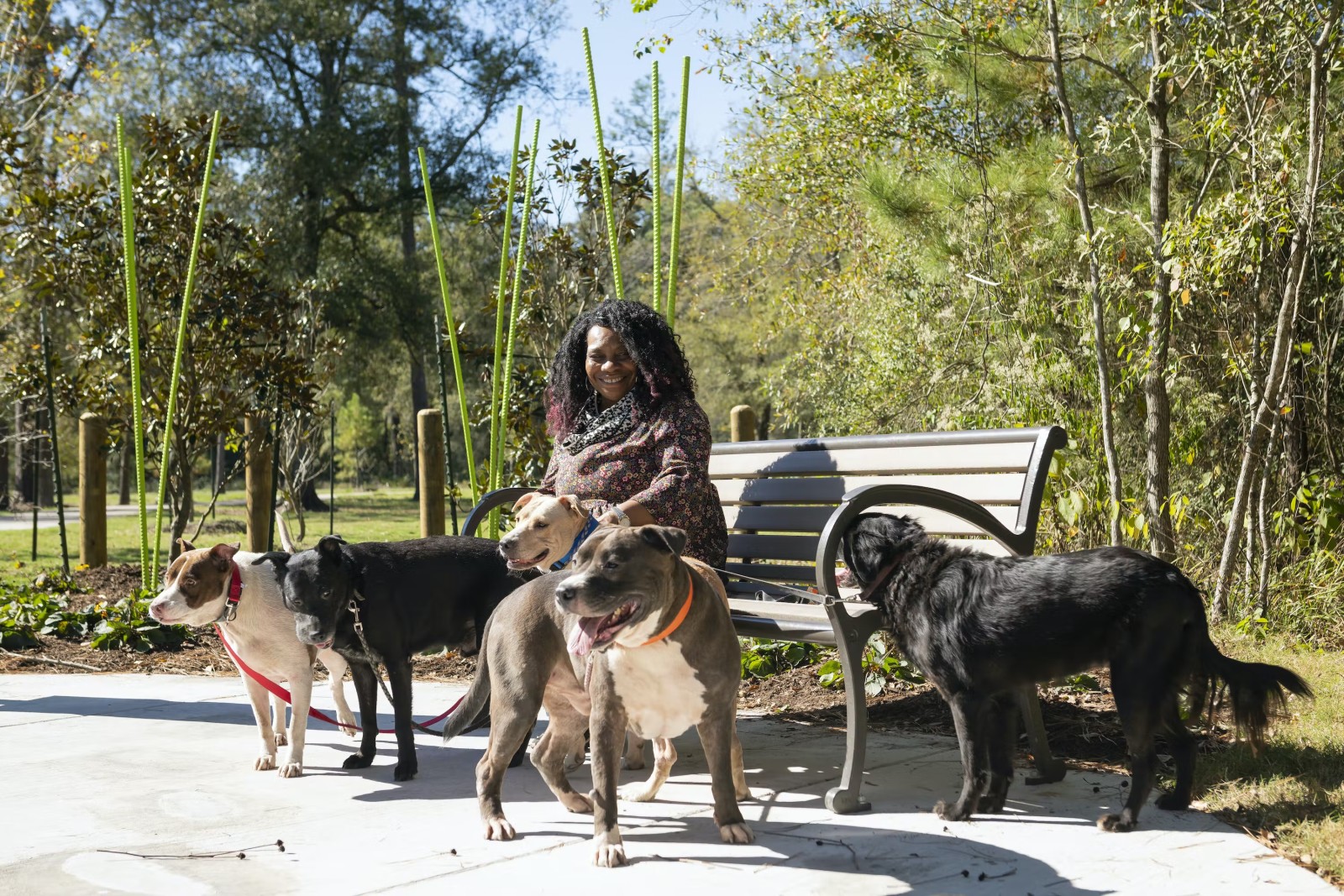 Woman sitting on a bench in the park accompanied by 5 dogs