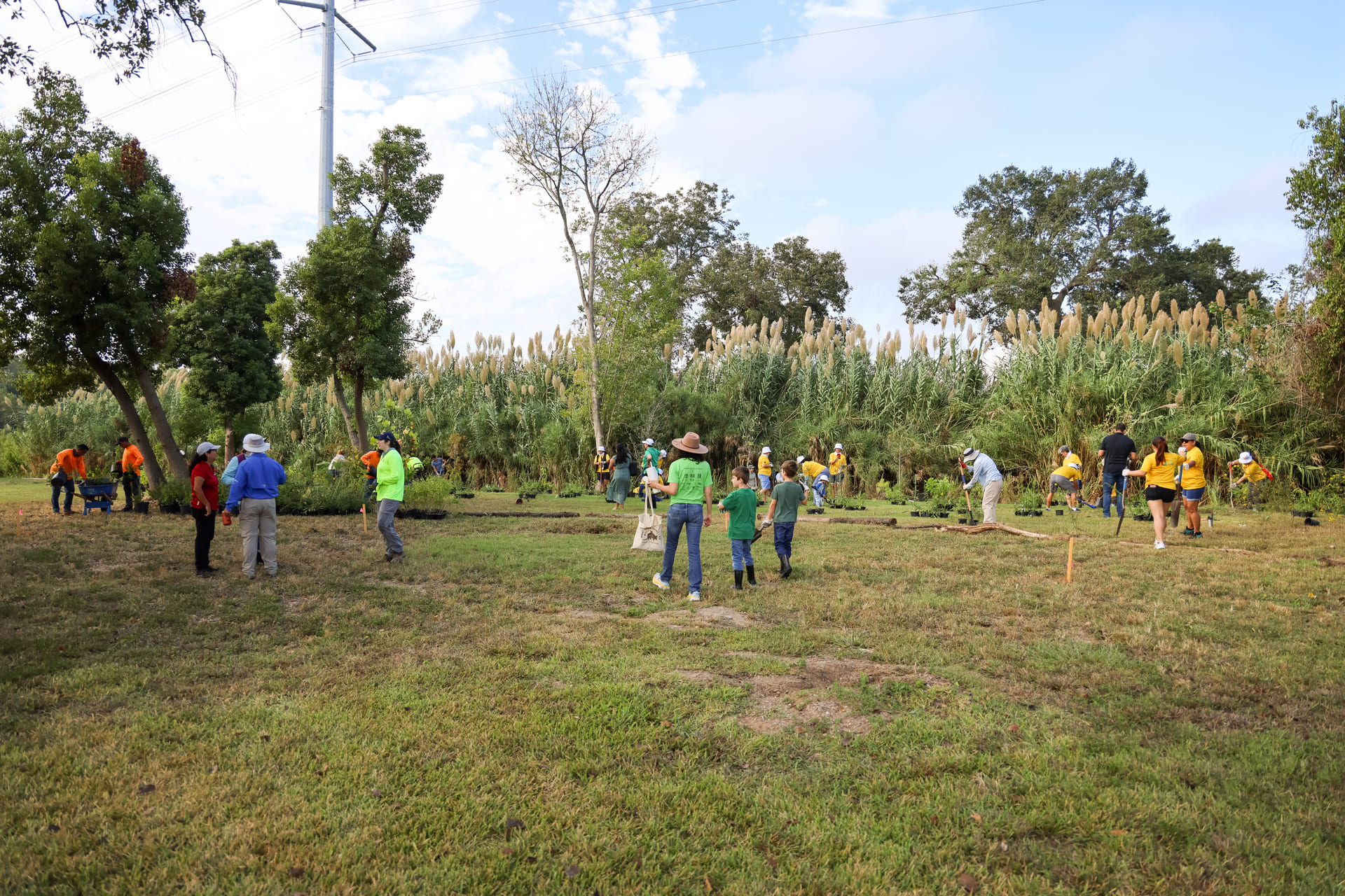 Conservation Site Spotlight: Woodvale