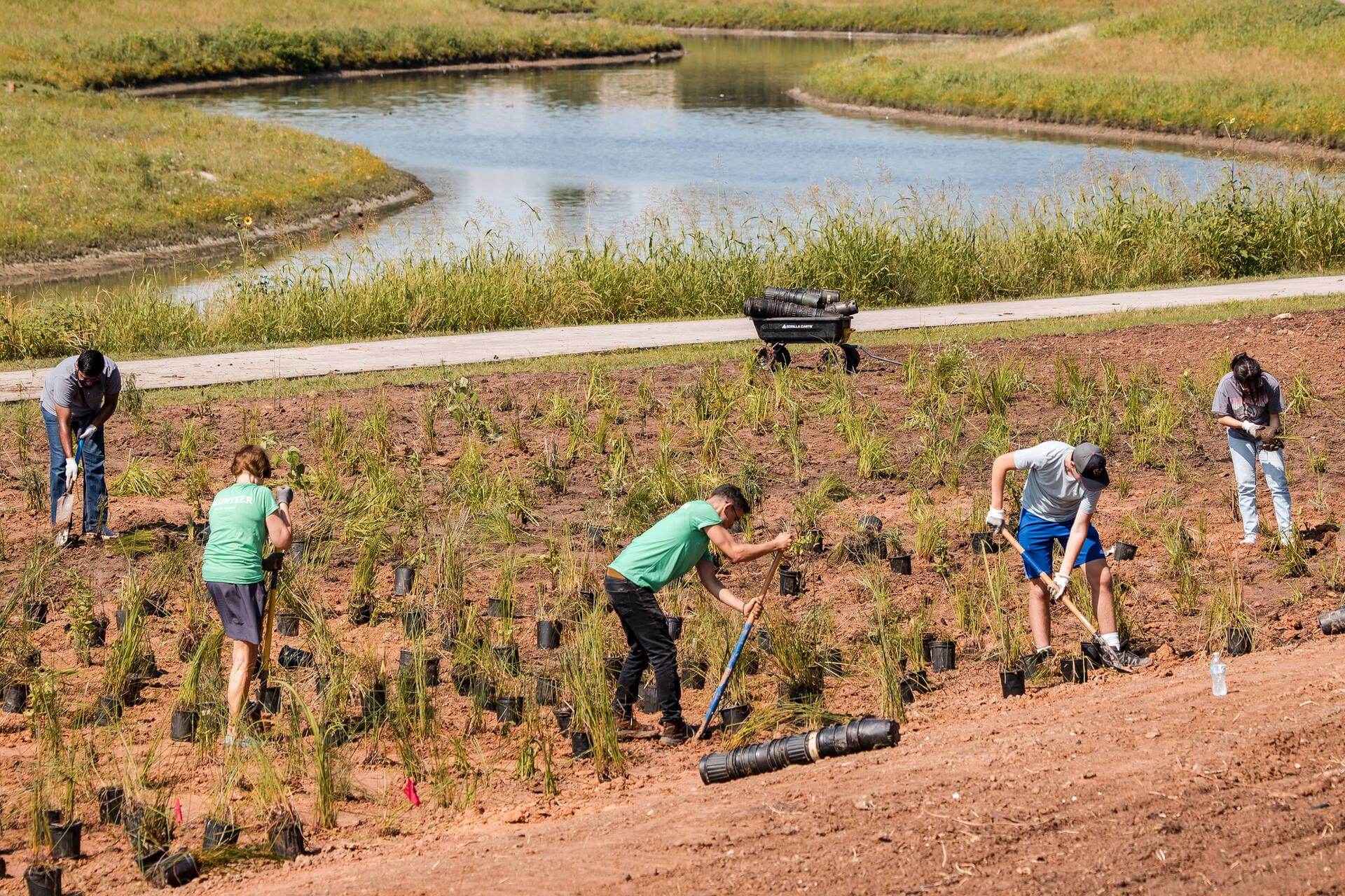 Erie Street Wetland Restoration