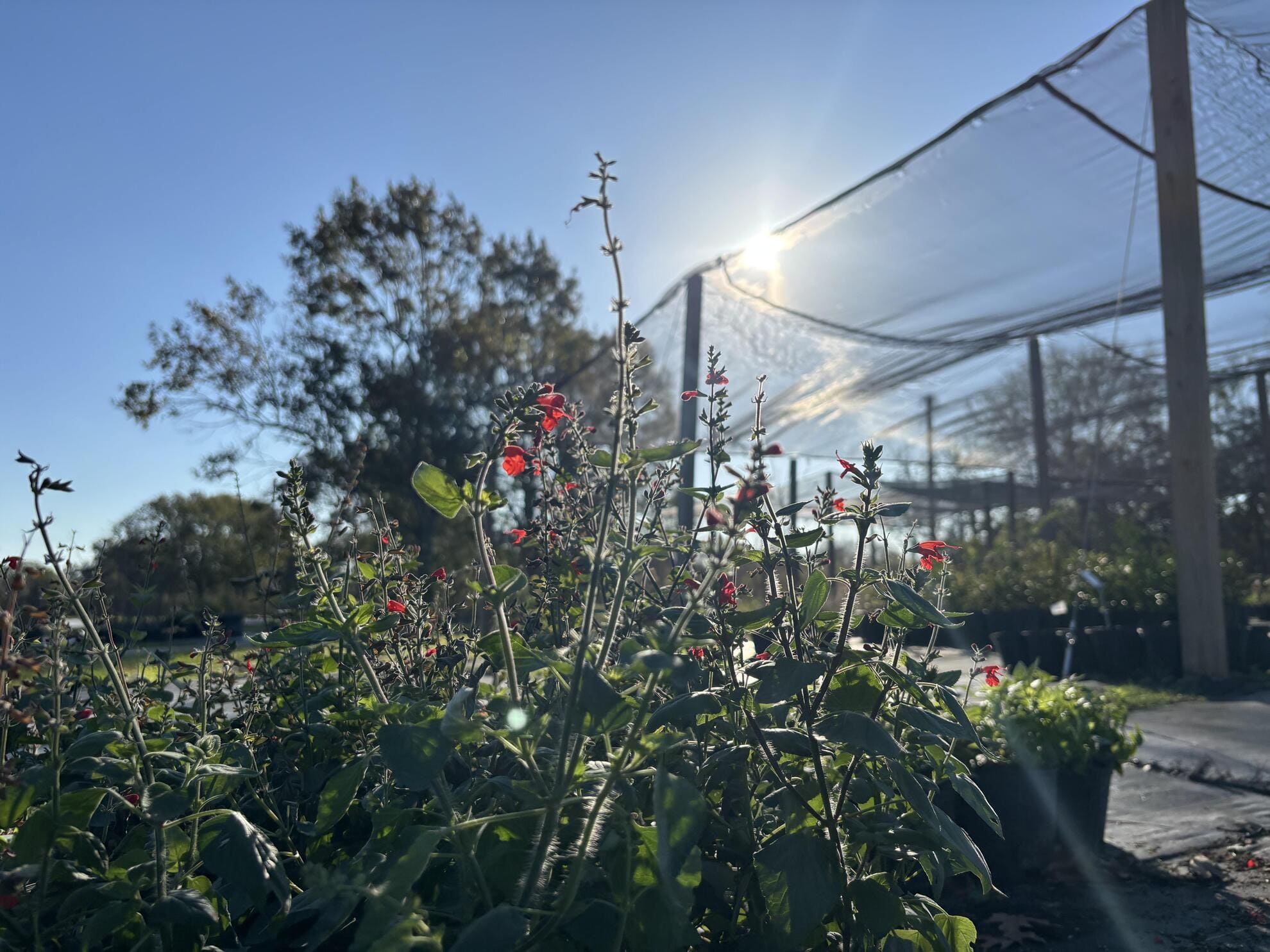 Plant, Learn, Explore: 2026 Conservation Events