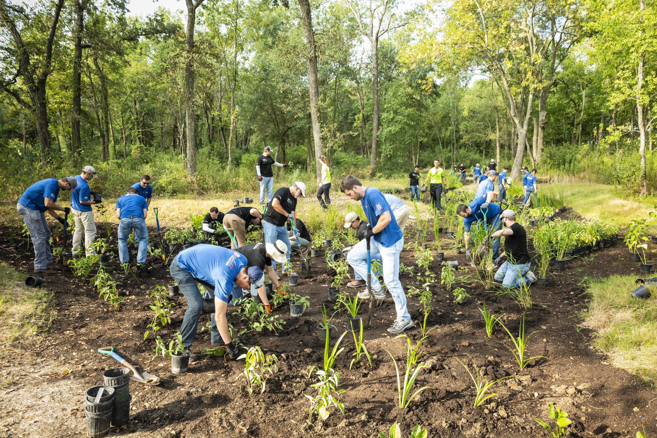 Corporate and Group Volunteer Events