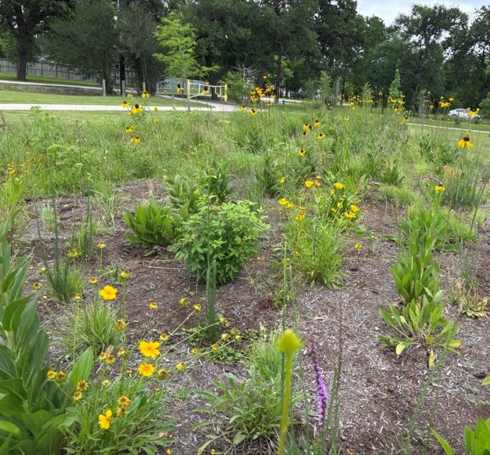 River Drive Trailhead Native Landscape