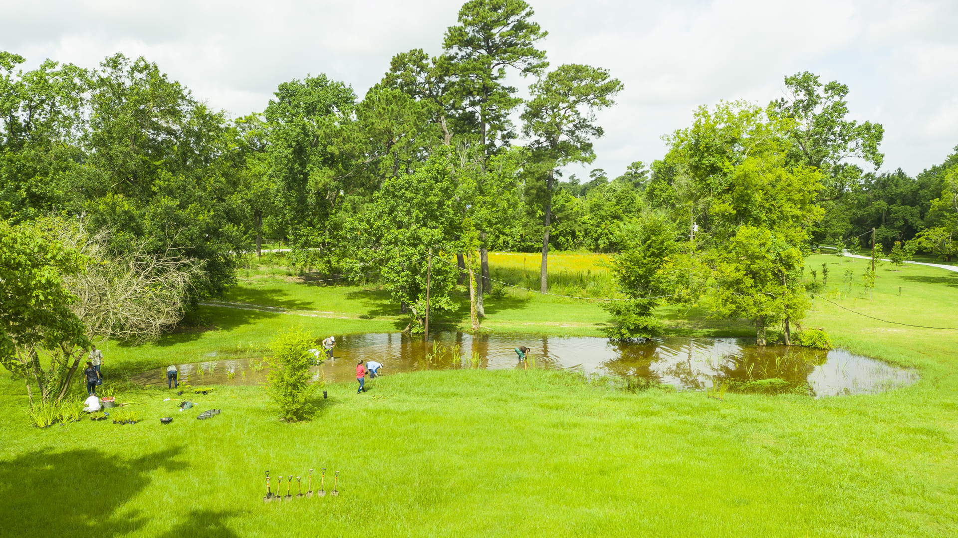 Wetlands and Wildlife